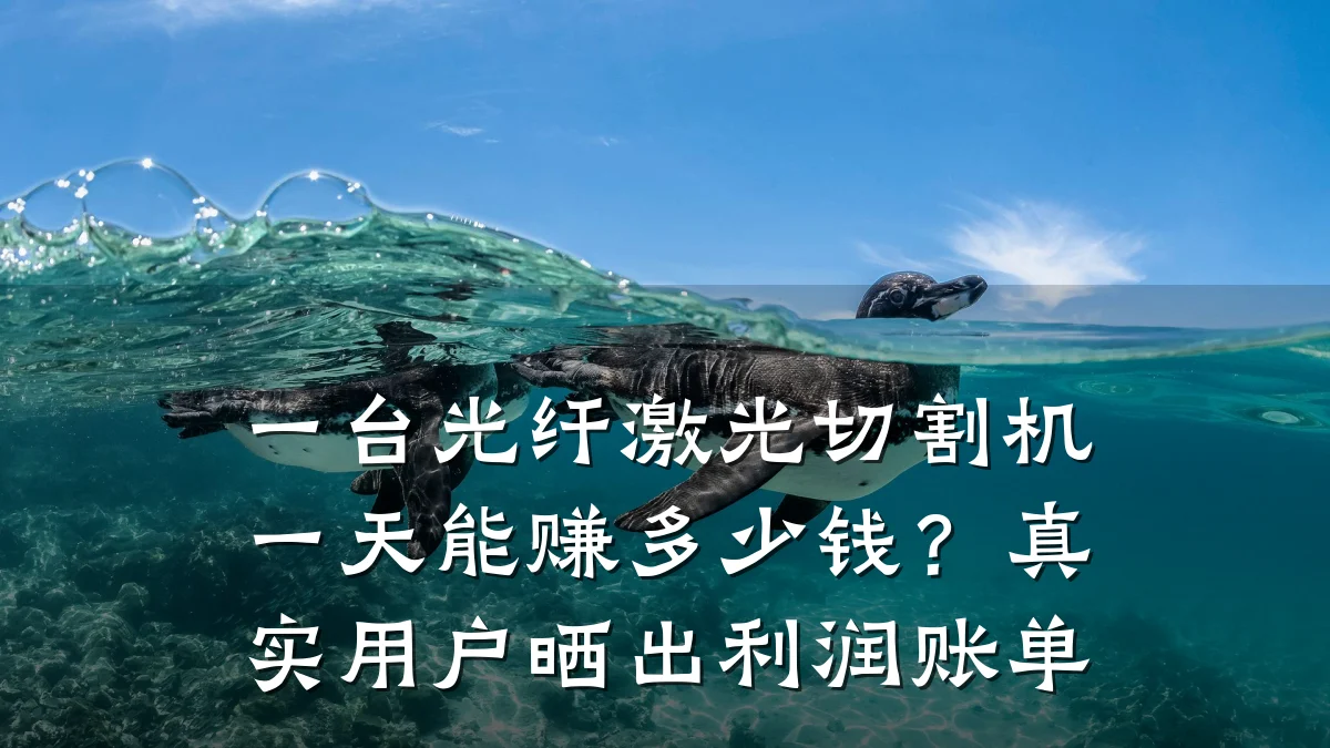 一台光纤激光切割机一天能赚多少钱？真实用户晒出利润账单