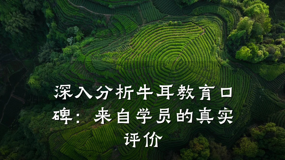 深入分析牛耳教育口碑:来自学员的真实评价